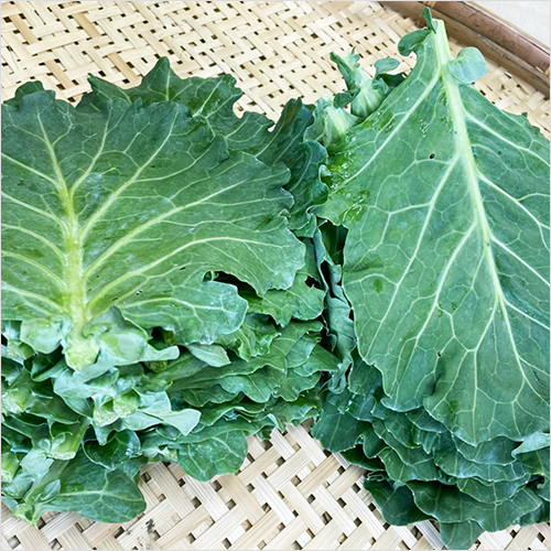 ケール（1kg）